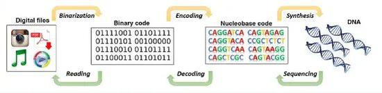 ������Ϣ���Դ洢��DNA�У�Ҳ���Է�������DNA�ж�ȡ������Ϣ��|��������