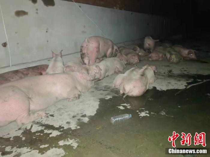 ����ͼ����ת�Ƴ��������� <a target='_blank' href='http://www.chinanews.com/' >������</a> ���� ��