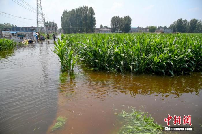 7��25�գ����Ͽ���С���������ɴ壬��Ƭ���׵ؽ�����ˮ�С� <a target='_blank' href='http://www.chinanews.com/'>������</a>���� �ų� ��