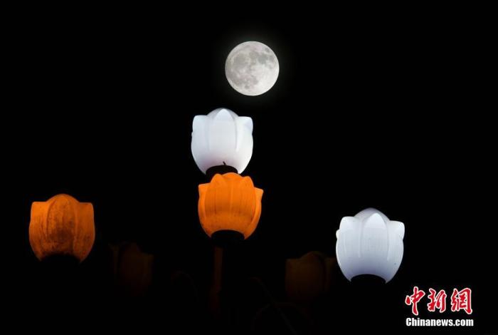 ����ͼ������֮ҹ������Բ�µ����ա�<a target='_blank' href='/'>������</a>���� ������ ��